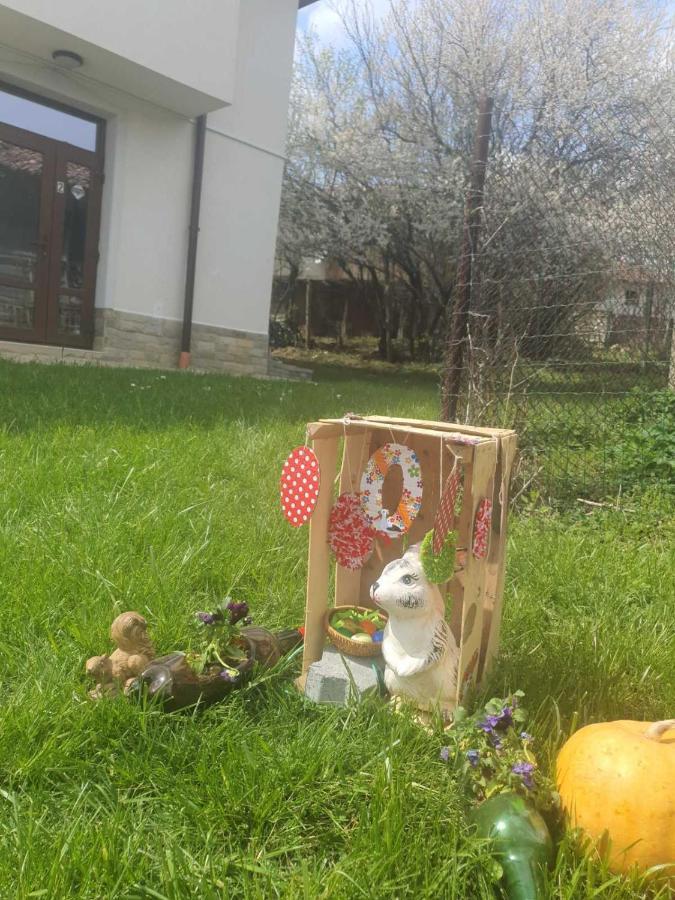 Бадевски рай- къща София Велико Търново Екстериор снимка